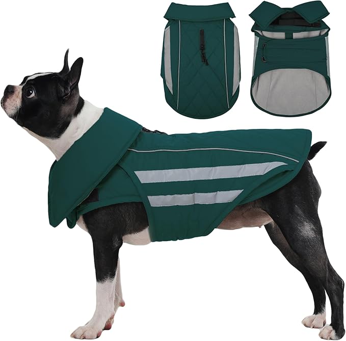 IECOii Warm Dog Coat - Waterproof Dogs Jackets & Windproof Snow Jacket for French Bulldog & Corgi, Adjustable & Reflective Warm Vest with Fleece Lining for Walking, Camping, Hiking, Green, Sizes L