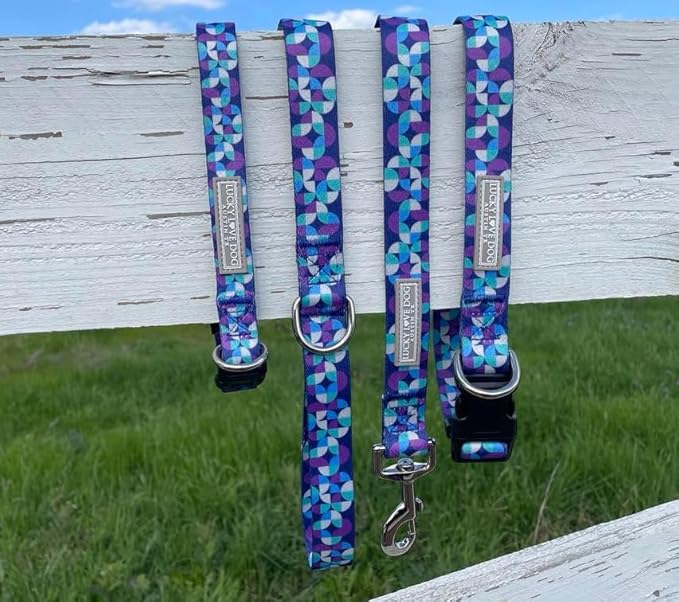 Lucky Love Dog - Adjustable Dog Collar and Leash Set with Easy Click Buckle for Small to Large Dogs, Durable, & Comfortable Collar for Male & Female Dogs, Puppies & Adult Ones - Jasper Combo, Medium