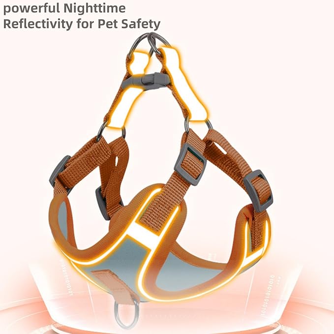NOWFRESH Cats and Small Dogs Harness and Leash for Walking - Escape Proof Soft Adjustable Vest, Breathable with Reflective Strips for Easy Control（Orange and Blue）