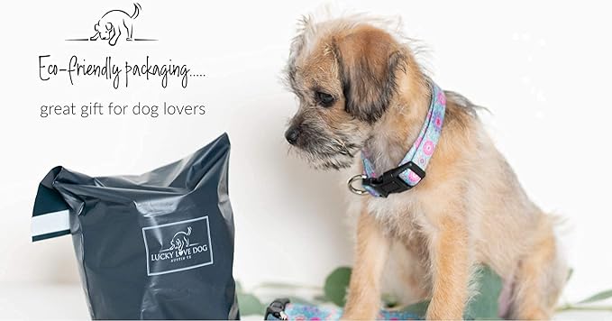 Lucky Love Dog - Adjustable Dog Collar with Easy Click Buckle for Small to Large Ones, Durable, & Comfortable for Male & Female Dogs, Pet Collar for Puppies & Adult Dogs - Clara, Large