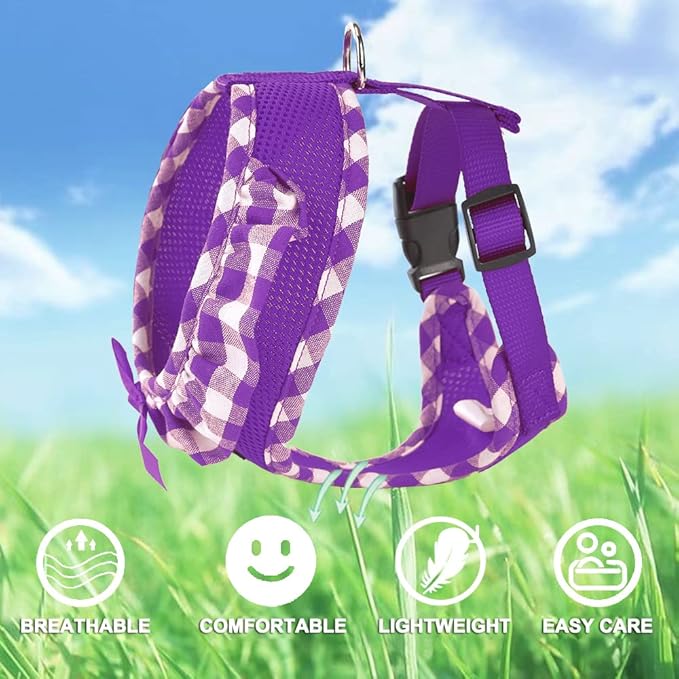 SuperBuddy Upgraded Soft Mesh Dog Harness, Super Breathable Lightweight Pet Harnesses for Puppy Dogs Outdoor Walking, Purple Dog Harness and Dog Leash Set Packing -Small