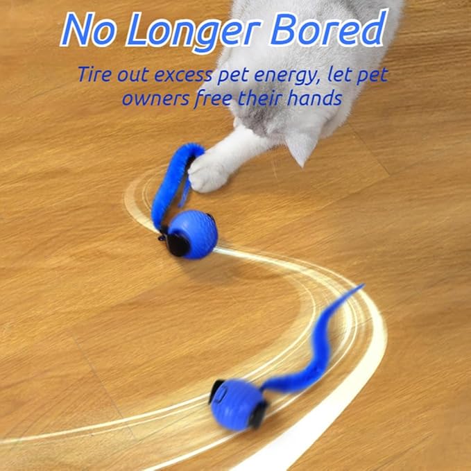 BIBIFACTORY 2026 New The Smart Wave Chase Ball, Revolutionary Smart Chase Ball 3.0, Interactive Fast Moving Ball with Tail, Automatic Cat Chase Balls Toy for Dog Cat Indoor Play (2PCS)