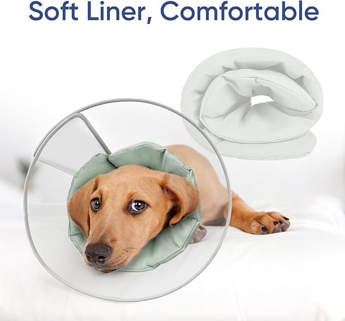 Supet Upgraded Dog Cone with Soft Liner, 20% Lighter Plastic Elizabeth Collar After Surgery to Stop Licking, for Spay Neuter Skin Problems Recovery, for Small Medium Active Large Dogs(Green,XS)