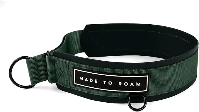 MADE TO ROAM Premium Everyday Dog Collar - Martingale Style No Pull Vegan Leather Collar, Heavy Duty and Lightweight for Small, Medium, Large Dogs (Maine Marina, Size 1)