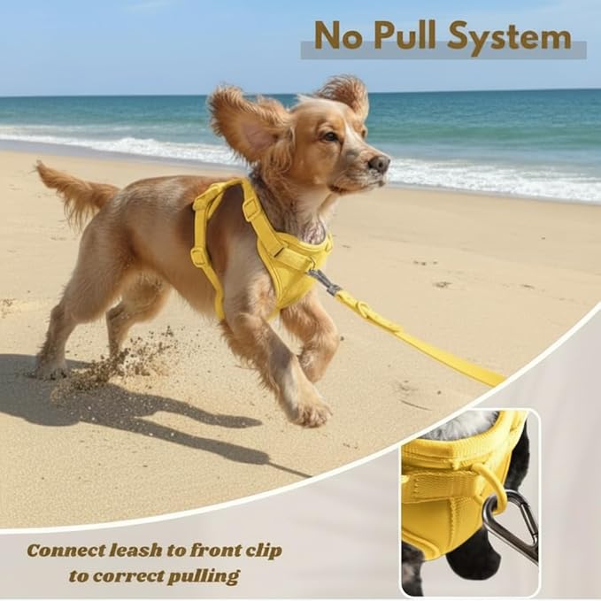 Dog Harness, No-Pull Pet Harness with 3 Leash Clips, Adjustable Soft Padded Dog Vest, Breathable Mesh Cushion for Small Medium Large Dogs (Yellow, Large (Neck:20"-25" Chest 28"-41"))