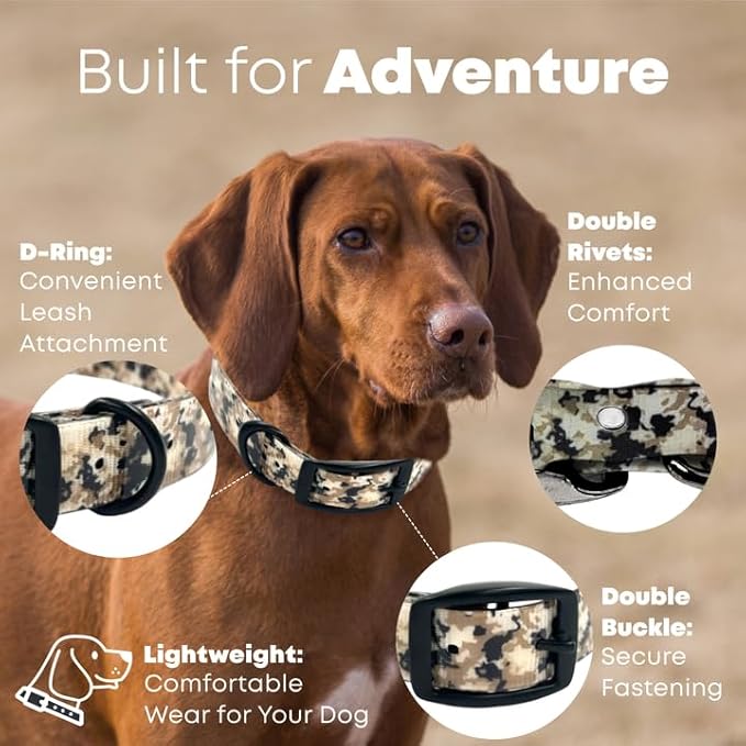 Regal Dog Products Medium Camo Hunting Dog Collar with Custom Engraved Name Plate and Heavy Duty Black Hardware Center Ring | Waterproof Personalized Dog Collars | Other Sizes for Small & Large & Dogs