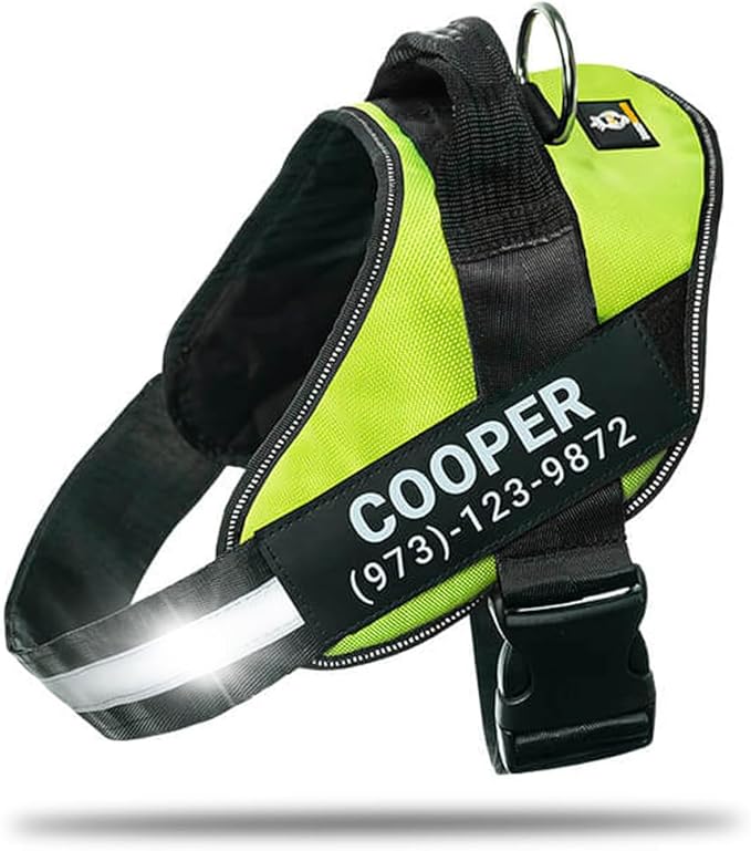 Personalized No-Pull Dog Harness with Name Patch, Adjustable, Reflective, Padded, Heavy Duty Pet Vest to Prevent Tugging, Pulling, or Choking, Training and Walking, Green, XS