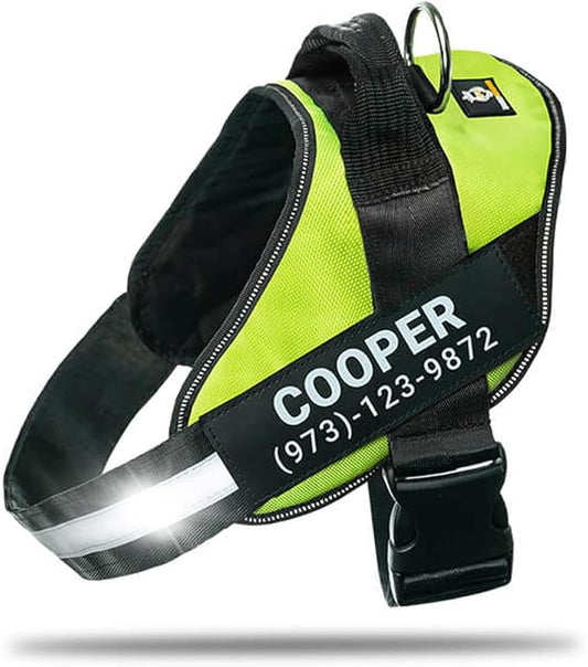 Personalized No-Pull Dog Harness with Name Patch, Adjustable, Reflective, Padded, Heavy Duty Pet Vest to Prevent Tugging, Pulling, or Choking, Training and Walking, Green, XS