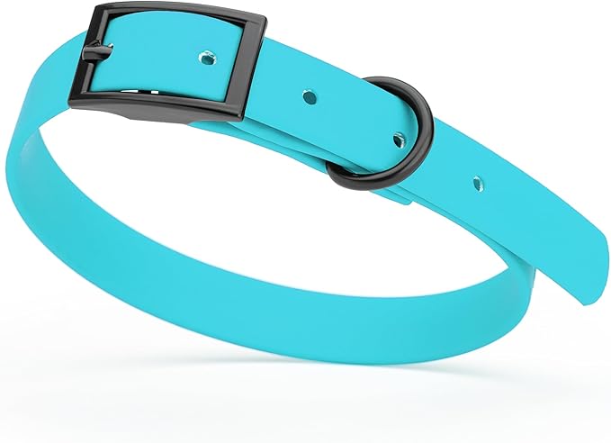 Dogline Biothane Coated Webbing Dog Collar with Black Metal Hardware: Durable Easy-Clean Everyday Collar for Dogs - Comfortable Adjustable Odor-Resistant Pet Collar, W5/8" x L12-15, Sky Blue