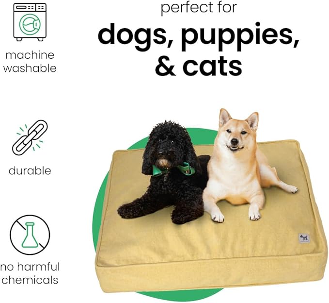Molly Mutt Elysium Dog Bed Duvet Cover, GOTS-Certified 100% Cotton Canvas Cover for Dog, Puppy, or Cat Bed, Durable, Washable, and Free of Harmful Chemicals, Small, 22"x27"x5", Yellow