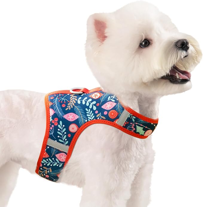 Dog Harness for Small Sized Dog,Hook-and-Loop Easy On/Off, Reflective Adjustable Soft Mesh Vest for Puppy (Navy Floral Print,XS)