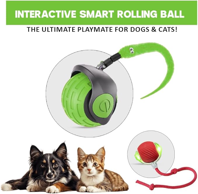 KBLZONE Interactive Cat Ball Toy – Smart Rolling Pet Ball with Obstacle Avoidance, USB Rechargeable, Cord Tail Design – Fun Enrichment Toy for Indoor Cats & Small Dogs (Green + Red)