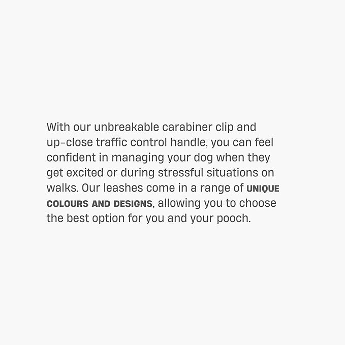 DF Co. Close Control Short Trainer Dog Leash | Strain Free & Shock Resistant, Durable Material, 65cm in Length, Heavy Duty Clips & D-Ring (Pink Camo, Regular)