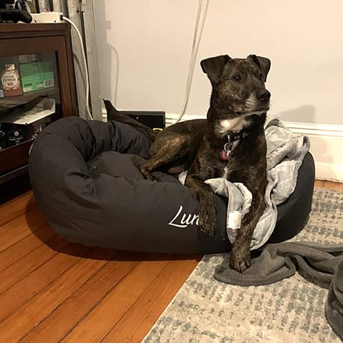 Majestic Pet Personalized 52 Inch Bagel Calming Dog Bed Washable – Cozy Soft Round Dog Bed with Spine Support for Dogs to Rest Their Head - Fluffy Donut Dog Bed 52x35x11 (Inch) - X-Large – Black