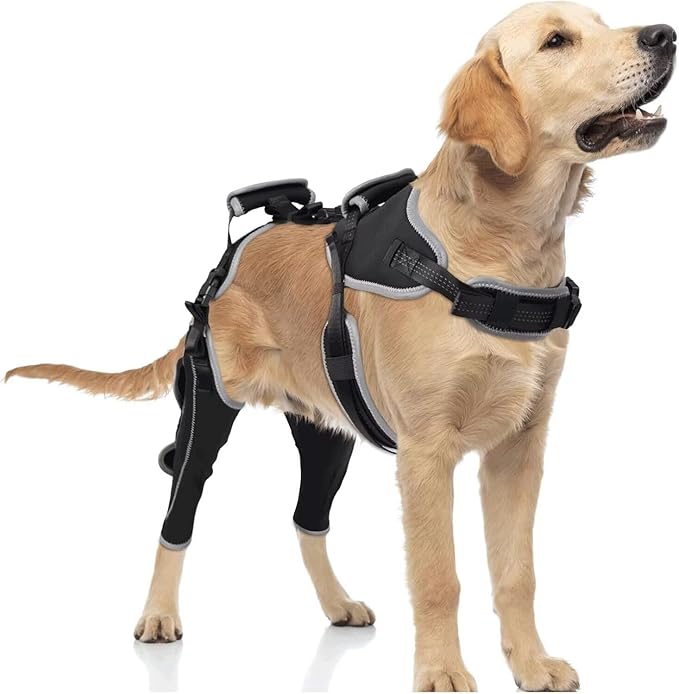 Dog Knee Brace for ACL/CCL Injuries,Torn Ligament,Luxating Patella - Rear Leg Support,Pain Relief,Joint Warmth,Black,Upgraded,Both Legs,Size:XL