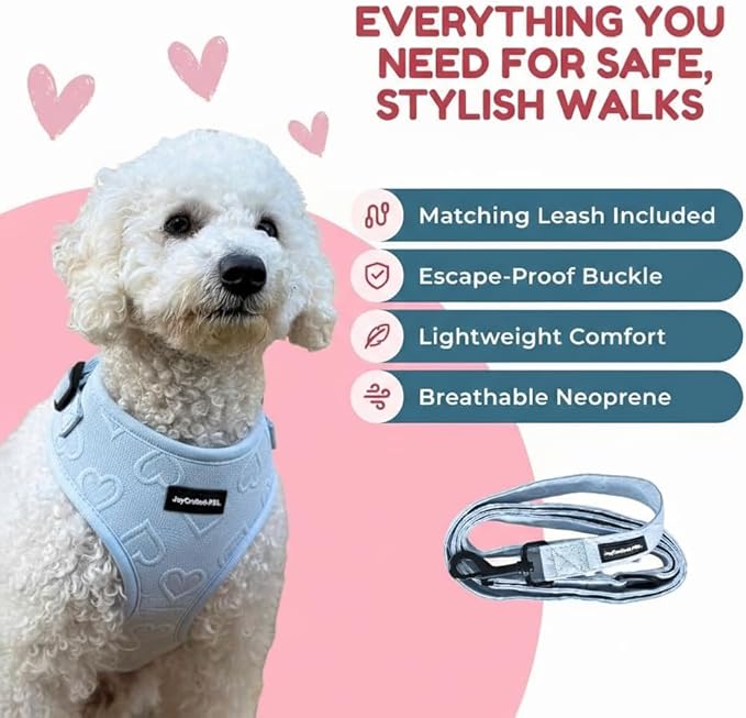 No Pull Neoprene Dog Harness and Leash Set for Small Dog, Neck(15–20 in), Adjustable Soft Mesh Design, Blue M -Lightweight No Choke Fit, Step-in, Escape-Proof Comfort