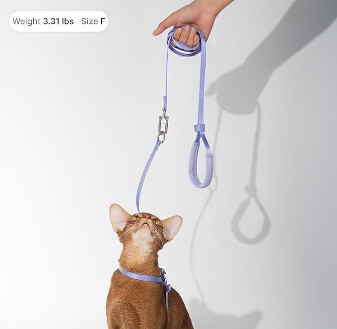 Cat Harness and Leash Set, Escape Proof Cat Harness Lightweight Leash with Padded Handle Adjustable Leash Harness for Kitten>4lbs Small Large Cats Walking Training (Vivid Red, M)