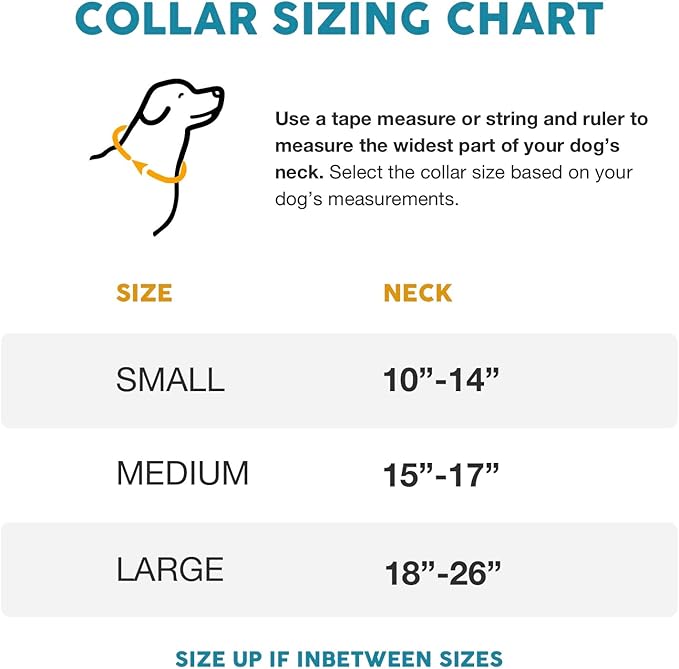 Embark Adventure Dog Collar – Stylish & Durable Nylon Dog Collars for Small Dogs, Comfortable Pet Collar, Small Dog Collars for Male & Female Dogs with Strong Buckles. Adjustable Small Dog Collars