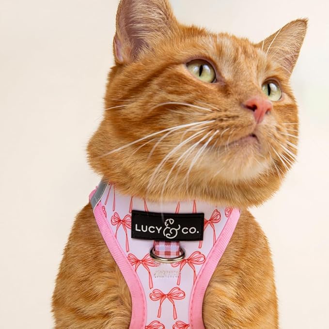 Lucy & Co. Take a Bow Step-in Cat Harness & Leash Bundle – Reflective, Breathable & Adjustable Harness for Cats, Kittens & Small Dogs, Lightweight & Secure and Dual Leash Clips – Medium