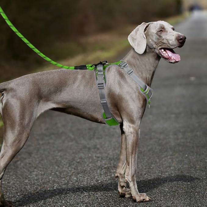 Adjustable Dog Harness - No Pull, Reflective, Soft Padded for Small, Medium, Large Dogs - Includes Leash Green XL
