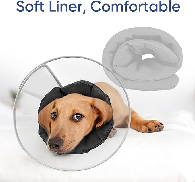 Supet Upgraded Dog Cone with Soft Liner, 20% Lighter Plastic Elizabeth Collar After Surgery to Stop Licking, for Spay Neuter Skin Problems Recovery, for Small Medium Active Large Dogs(Matte Black,M)
