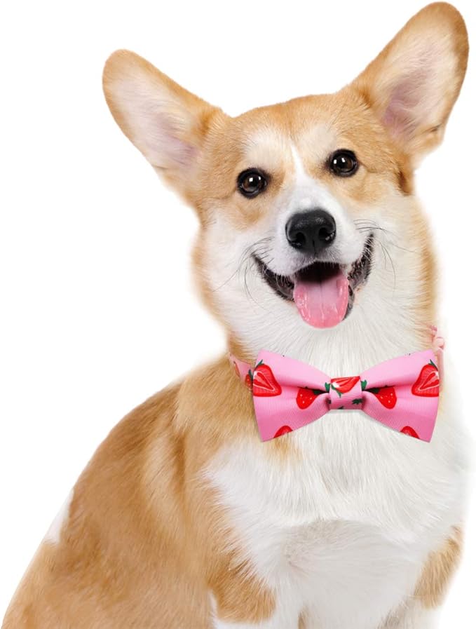 azuza Dog Collar Bow tie, Lovely Pink Strawberry Dog Collars with Bowtie for Extra Small Dogs