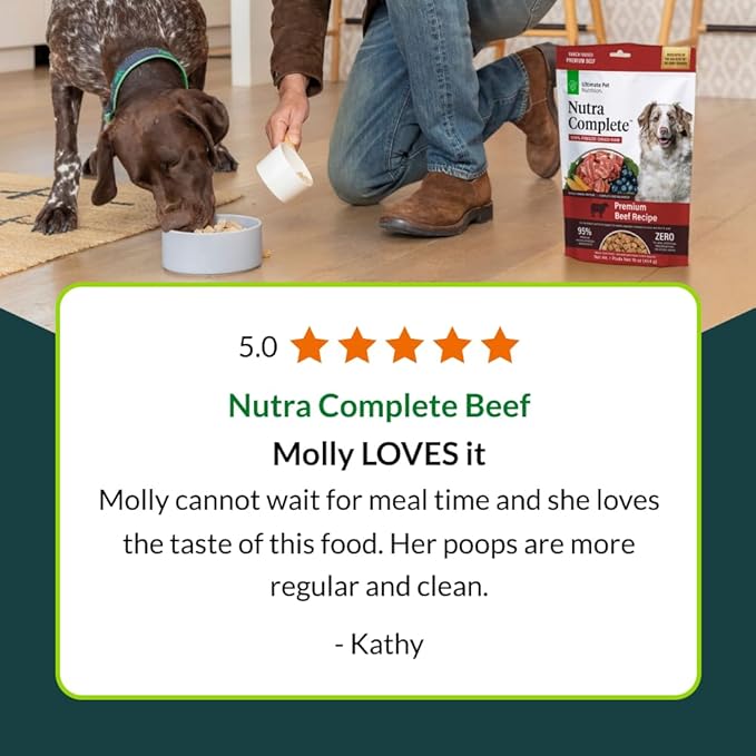 ULTIMATE PET NUTRITION Nutra Complete, 100% Freeze Dried Raw Veterinarian Formulated Dog Food with Antioxidants Prebiotics and Amino Acids (1 Pound, Beef)
