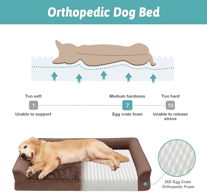 Dog Beds for Extra Large Dog, XXL Bolster Pet Couch with Waterproof Lining, Egg Crate Foam Sofa for Pets Up to 150 lbs, U-Shaped, 48x35x8 inch, Brown