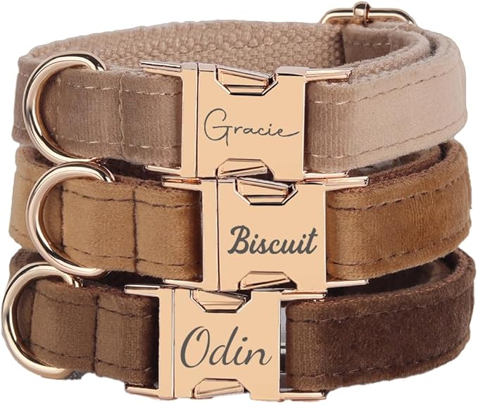 Velvet Harness Set, Gift for Pet Owners, Custom Dog Collar Personalized with Name and Phone Number, Custom Collar and Leash for Dogs, Engraved Metal Buckle Collar (X-Small)