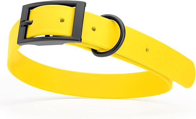 Dogline Biothane Coated Webbing Dog Collar with Black Metal Hardware: Durable Easy-Clean Everyday Collar for Dogs - Comfortable Adjustable Odor-Resistant Pet Collar, W1 x L22-25", Lemon Yellow