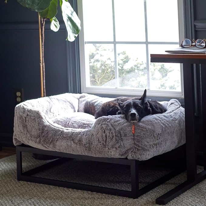 FUZI Luxury Up Pup Elevated Dog Bed, Premium Indoor & Outdoor Raised Pet Bed, Chew-Proof & Durable, Breathable Design for Comfort & Support, Dog Cot Medium 32x24x8 Black