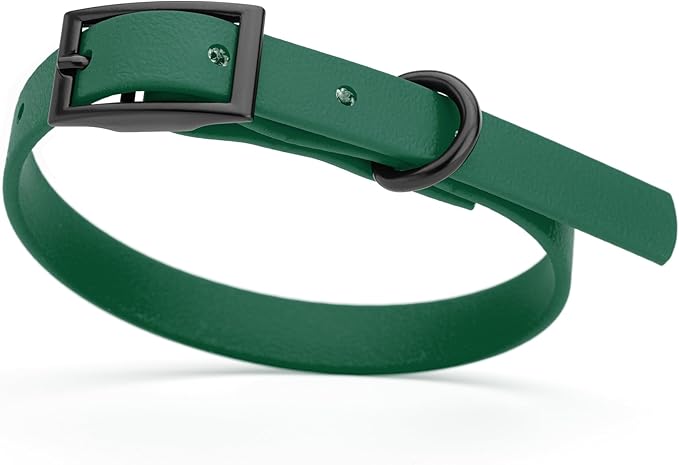 Dogline Biothane Coated Webbing Dog Collar with Black Metal Hardware: Durable Easy-Clean Everyday Collar for Dogs - Comfortable Adjustable Odor-Resistant Pet Collar, W1/2" x L9-12, Hunter Green