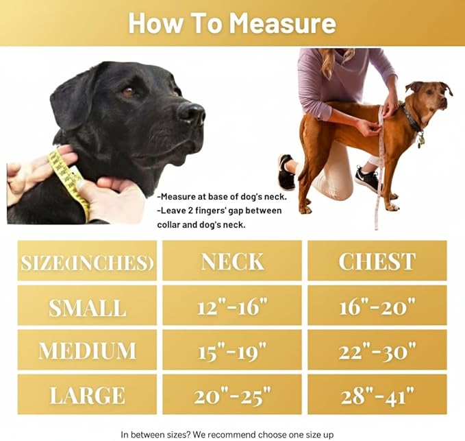 Dog Harness, No-Pull Pet Harness with 3 Leash Clips, Adjustable Soft Padded Dog Vest, Breathable Mesh Cushion for Small Medium Large Dogs (Yellow, Small (Neck:12"-16" Chest 16"-20"))