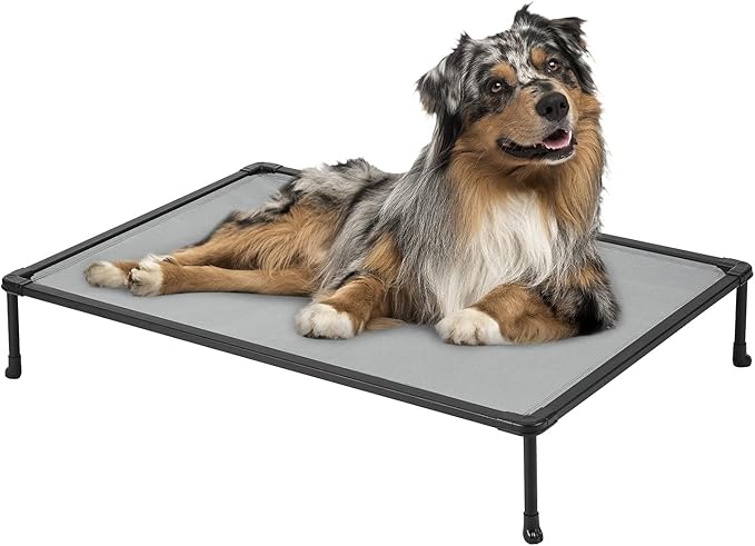 Veehoo Chewproof Elevated Dog Bed - Cooling Raised Pet Cot, Breathable Mesh, Washable & Non-Slip for Medium Dogs, Indoor/Outdoor, Grey Mat and Black Frame, 32x25inches (Model CWC2203A03)