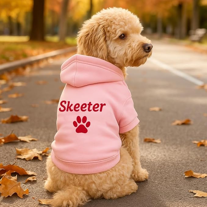 Personalized Name Dog Hoodie, Embroidered Hoodies Pet Name, Custom Puppy Sweater Warm Winter Outfit for Dogs, Bright Puppy Sweatshirt, Unique Pet Birthday Outfit, Gift for Dog Lovers