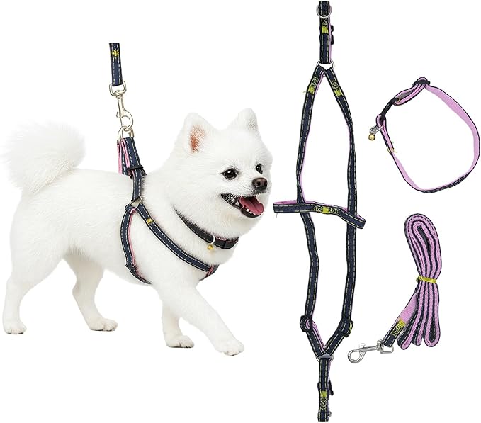 No Pull Dog Harness with Front Clip & Leash Set for Medium Dogs – Adjustable Dog Walking Vest with Soft Padding, Collar & Easy Control Handle - Pink (Large)