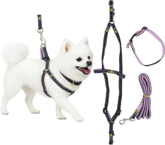 No Pull Dog Harness with Front Clip & Leash Set for Medium Dogs – Adjustable Dog Walking Vest with Soft Padding, Collar & Easy Control Handle - Pink (Large)