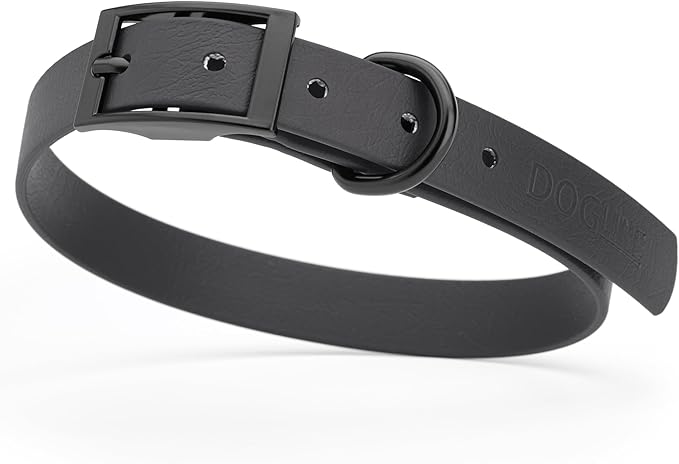 Dogline Biothane Coated Webbing Dog Collar with Black Metal Hardware: Durable Easy-Clean Everyday Collar for Dogs - Comfortable Adjustable Odor-Resistant Pet Collar, W3/4" x L15-18, Black