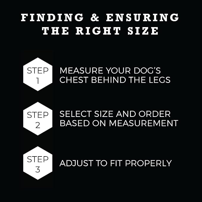 Wolfgang Heavy Duty Adjustable Dog Harness, Pull-Tested to Over 800 lbs for Walking & Training, SunsetPalms Print, Extra Large