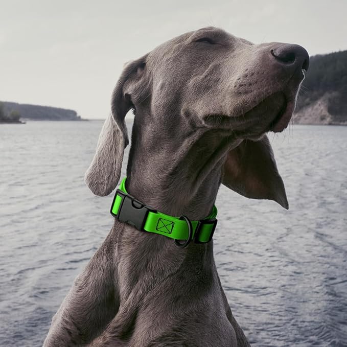 Dogline Durable Biothane Waterproof Collar for Dogs - Odor-Resistant Coated Webbing, Quick-Release Design, Comfortable Adjustable Fit, 1" W by 15-25" L, Tropical Green