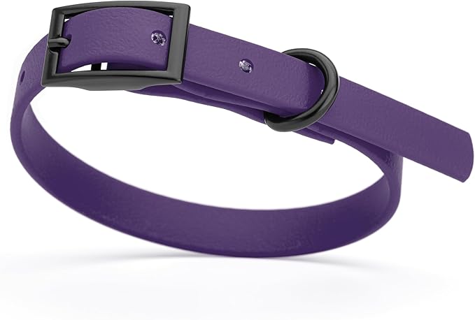 Dogline Biothane Coated Webbing Dog Collar with Black Metal Hardware: Durable Easy-Clean Everyday Collar for Dogs - Comfortable Adjustable Odor-Resistant Pet Collar, W1/2" x L9-12, Violet Purple