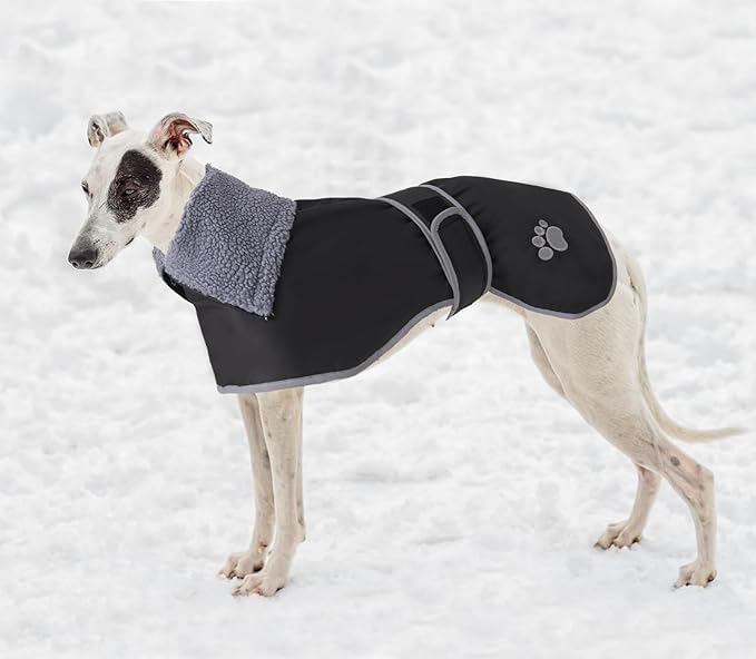Geyecete Dog Winter Coat Geyecete Greyhound Raincoat Fabric with Lamb Velvet Inside Outdoor Dog Apparel with Adjustable Bands for Medium, Large Dog-Black-XXL