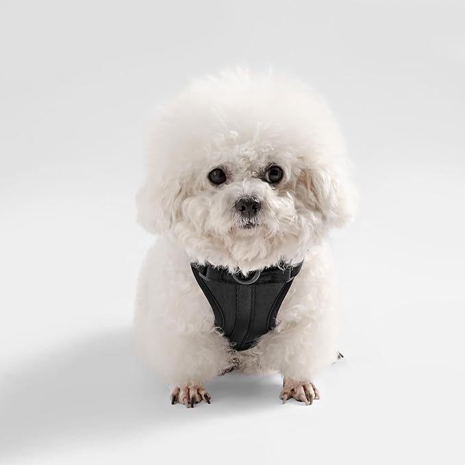 HNS1000I Arlo Extra Small Adjustable Soft Padded No Pull Pet Harness with 3 Buckles and 3 Leash Clips, Bitters