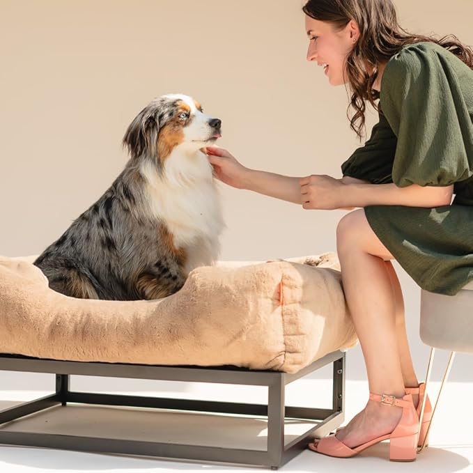 FUZI Luxury Up Pup Elevated Dog Bed, Premium Indoor & Outdoor Raised Pet Bed, Chew-Proof & Durable, Breathable Design for Comfort & Support, Dog Cot Small 26x17x8 Dark Brown