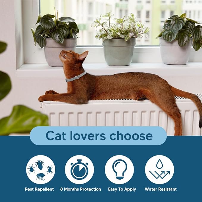 Flea Collar for Cats, Cat Flea and Tick Collars, Cat Flea Collars, Kitten Tick Collar, Adjustable 8 Months Protection (Pack of 2)