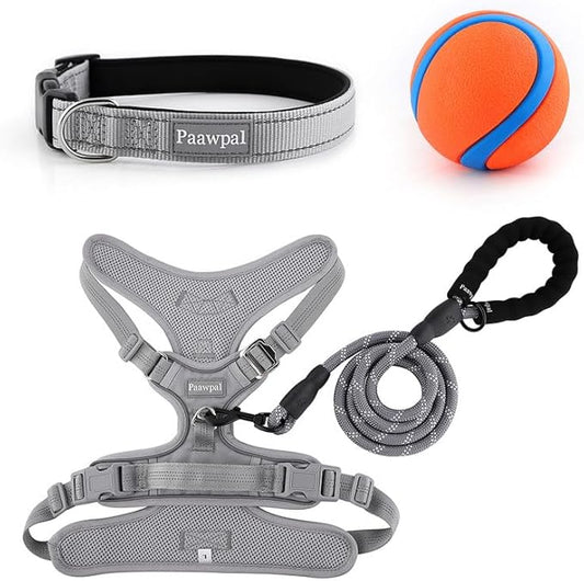 Adjustable Dog Harness - No Pull, Reflective, Soft Padded for Small, Medium, Large Dogs - Includes Leash and Collar Light Silver M