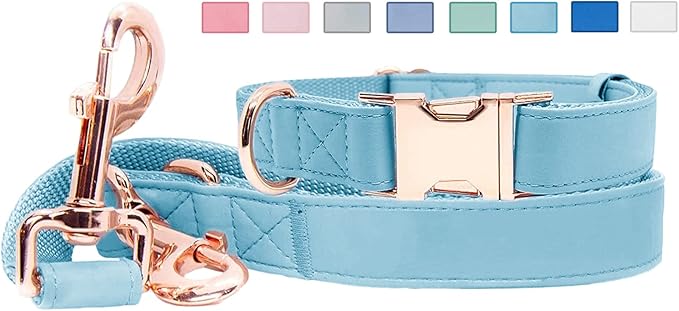 Soft Leather Dog Collar and Leash (6.6') Set - Stylish Rose Gold Heavy Duty Metal Buckle, 4 Adjustable Lengths Leash for Small Medium Large Dogs - Comfortable & Easy to Clean Light Blue M(13.8"-19.7")