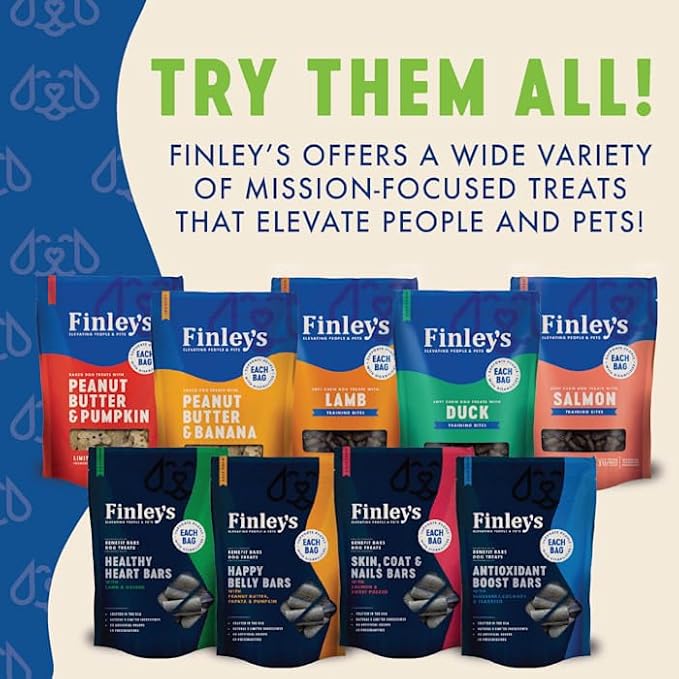 Finley's Apple Cinnamon Dog Biscuits Treats for Dogs Made in USA | Natural Apple Cinnamon Dog Treat | Wheat Free Dog Treats | Healthy Dog Treat Bags (12 oz)