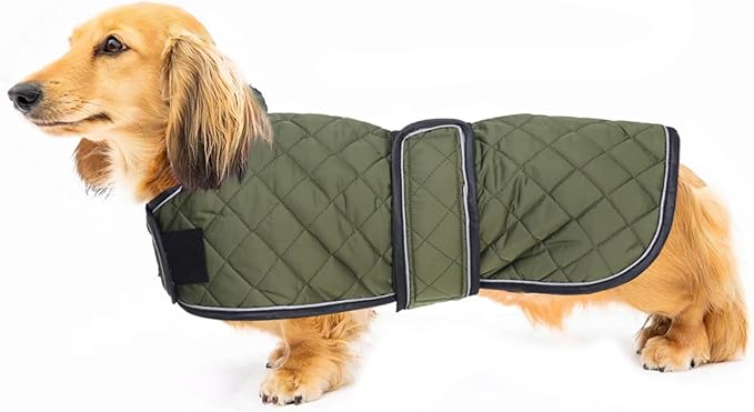 Warm Thermal Quilted Dachshund Coat,Dog Winter Coat with Warm Fleece Lining,Outdoor Dog Apparel with Adjustable Bands for Medium Dog-Army Green-XS