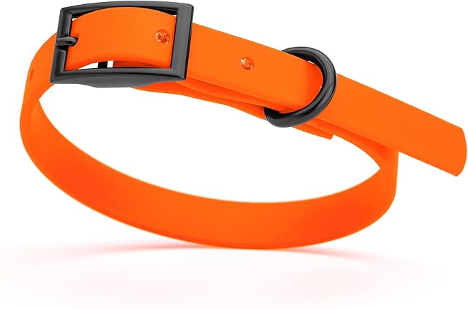 Dogline Biothane Coated Webbing Dog Collar with Black Metal Hardware: Durable Easy-Clean Everyday Collar for Dogs - Comfortable Adjustable Odor-Resistant Pet Collar, W1/2" x L9-12, Hunter Orange